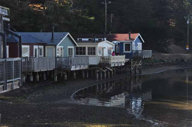 Marshal on Tomales Bay